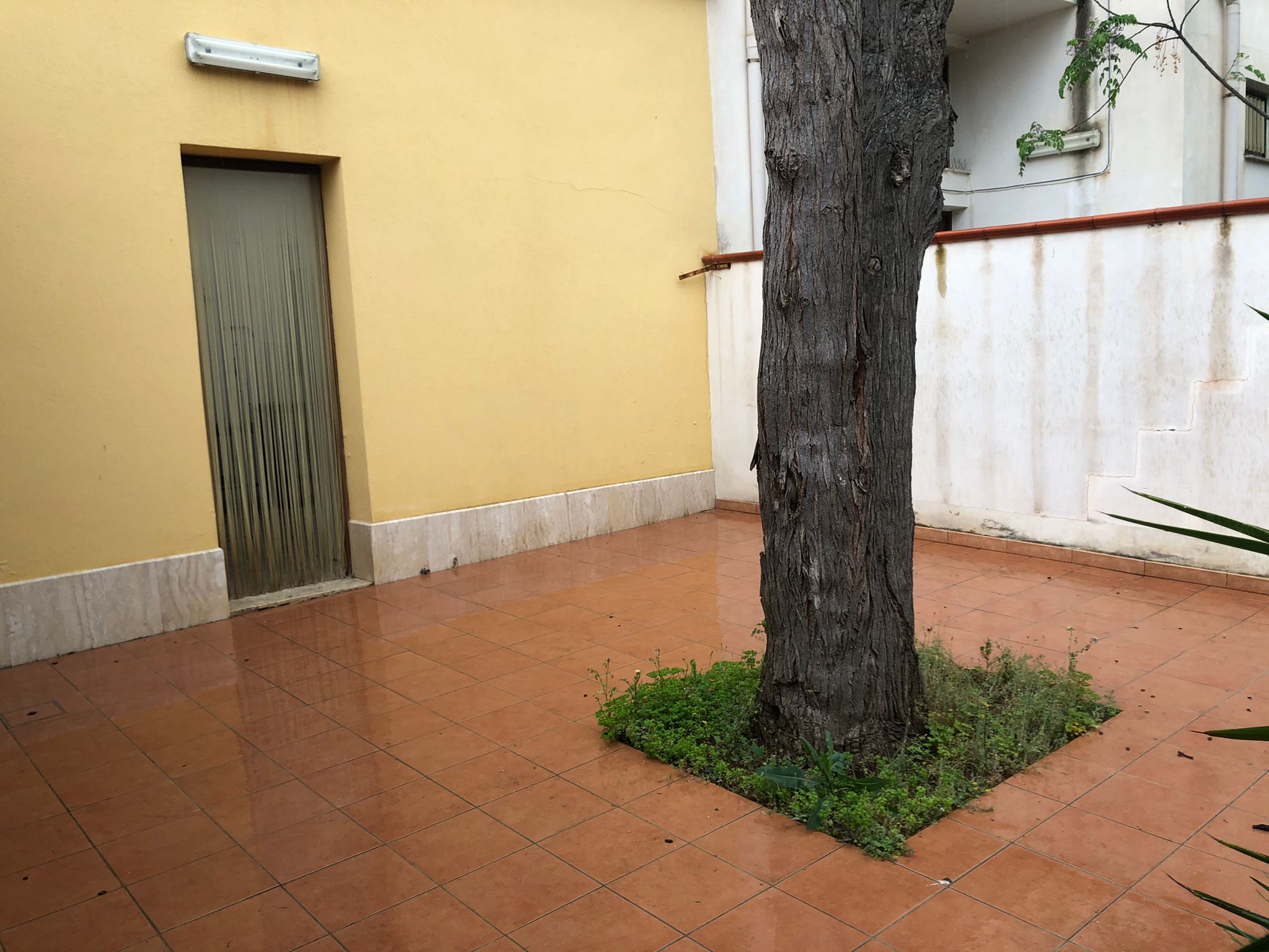 VIA DEL MARE, 2 Stanze da Letto Stanze da Letto, 4 Stanze Stanze,1 BagnoBathrooms,Indipendente,Vendita,VIA DEL MARE,1502