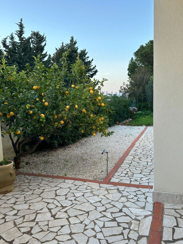 CONTRADA SCOPELLO, 3 Stanze da Letto Stanze da Letto, 3 Stanze Stanze,1 BagnoBathrooms,Villa,Affitto,CONTRADA SCOPELLO,1671