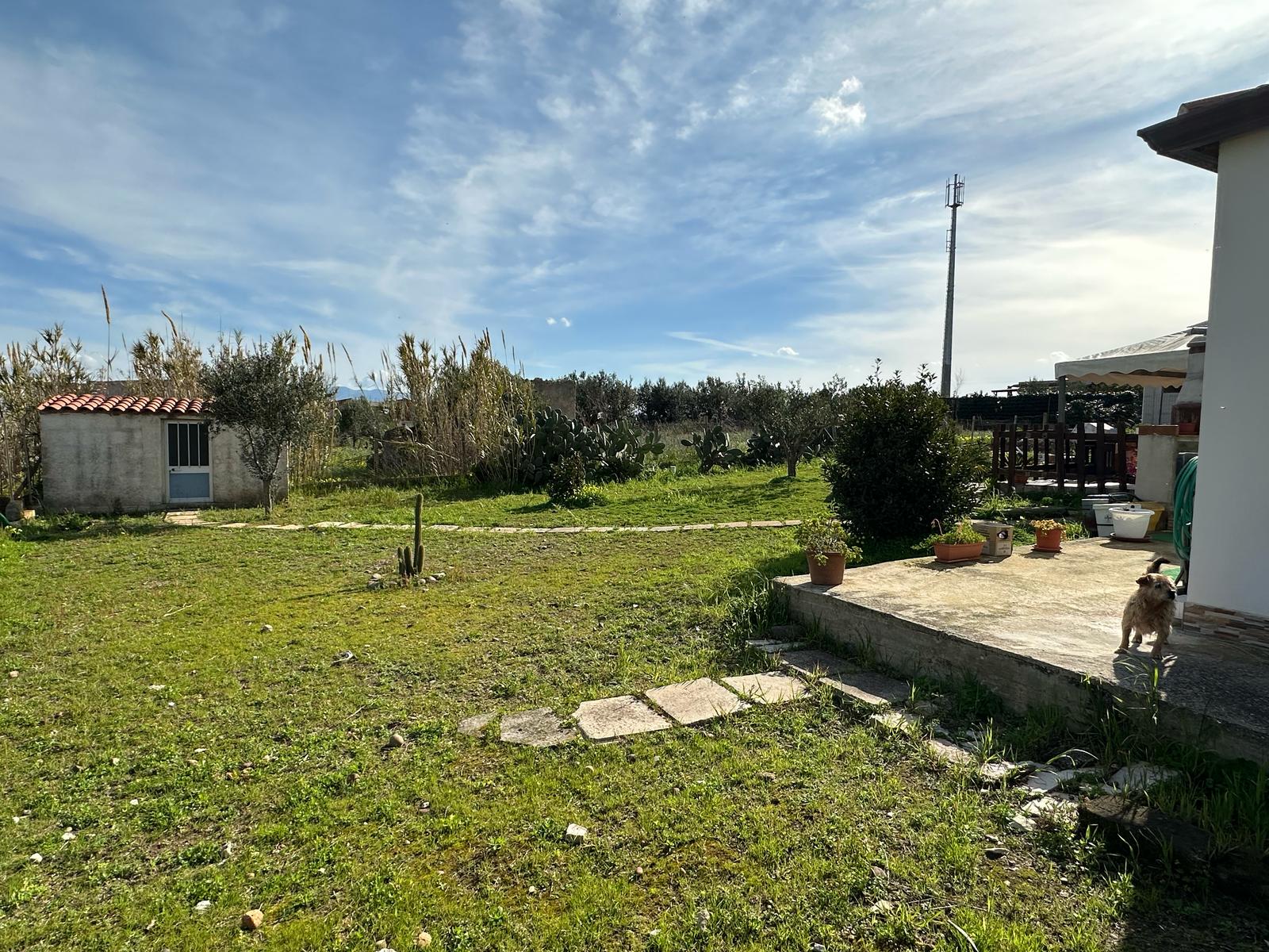 C/D BOSCO D'ALCAMO, 2 Stanze da Letto Stanze da Letto, 3 Stanze Stanze,2 BathroomsBathrooms,Villa,Vendita,C/D BOSCO D'ALCAMO,1672