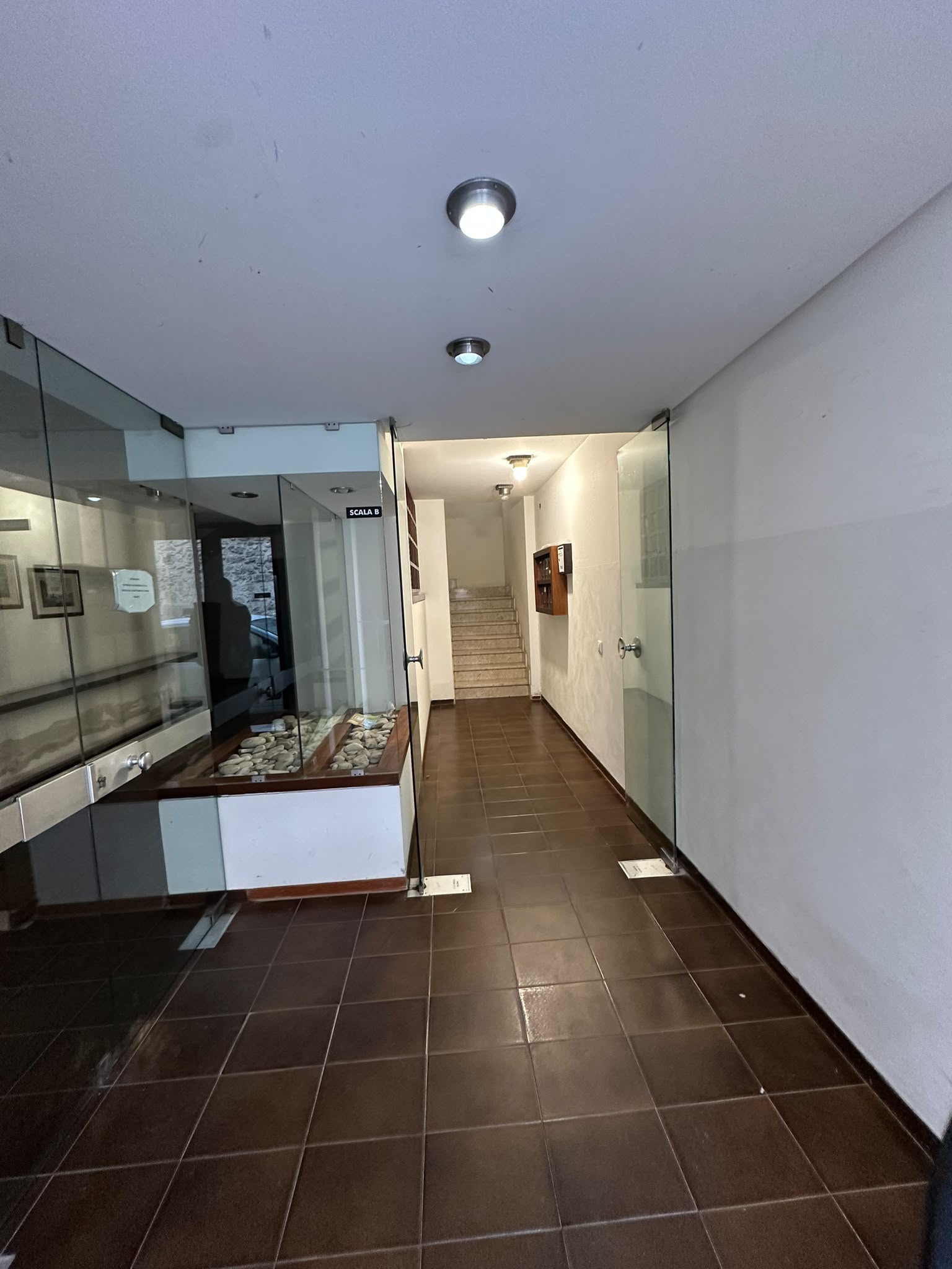 VIA BARONE SAN GIUSEPPE, 1 Stanza Stanze,1 BagnoBathrooms,Ufficio,Vendita,VIA BARONE SAN GIUSEPPE,1747