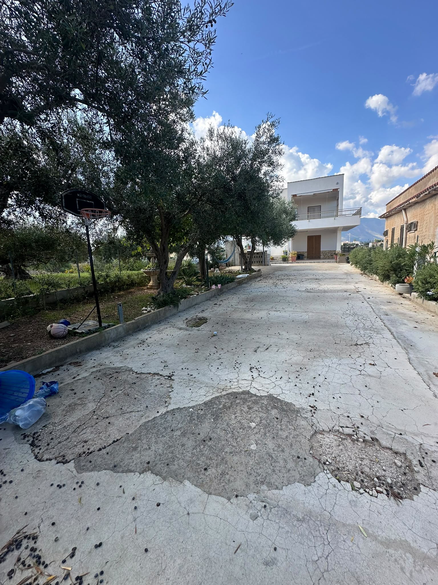 CONTRADA BOSCO D'ALCAMO, 5 Stanze da Letto Stanze da Letto, 4 Stanze Stanze,2 BathroomsBathrooms,Villa,Vendita,CONTRADA BOSCO D'ALCAMO,1751
